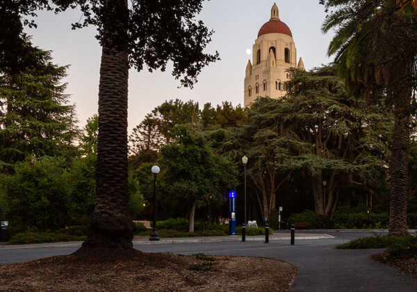 Stanford University campus image