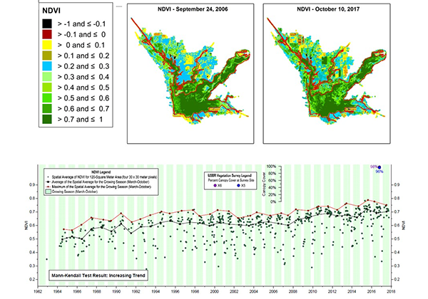 Graph displaying annual groundwater levels from 1962 t0 2018